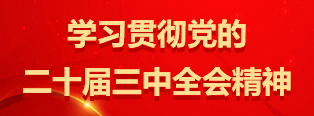 學(xué)習(xí)貫徹黨的二十屆三中全會(huì)精神