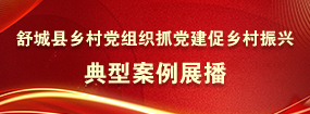 舒城縣鄉(xiāng)村黨組織抓黨建促鄉(xiāng)村振興典型案例展播
